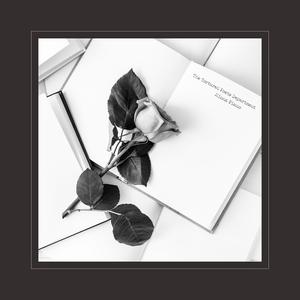 男人女人插曲视频
